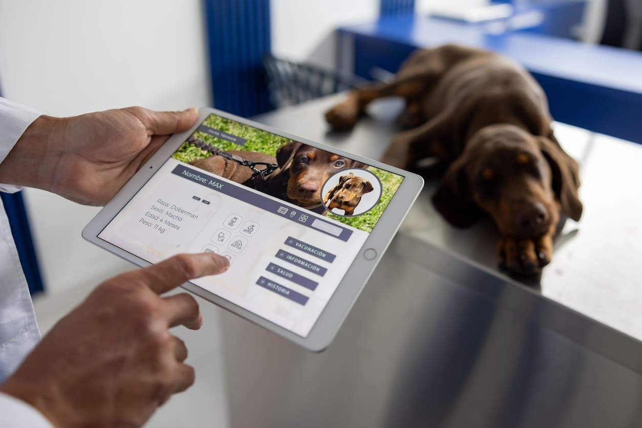 Curso de Gestión y Comunicación en Clínicas Veterinarias